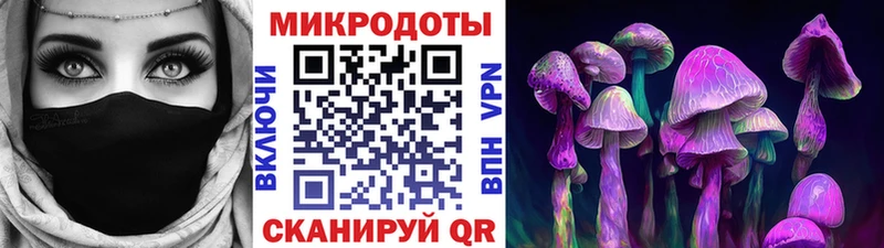 дарк нет формула  где можно купить   omg вход  Ахтырский  Галлюциногенные грибы прущие грибы 